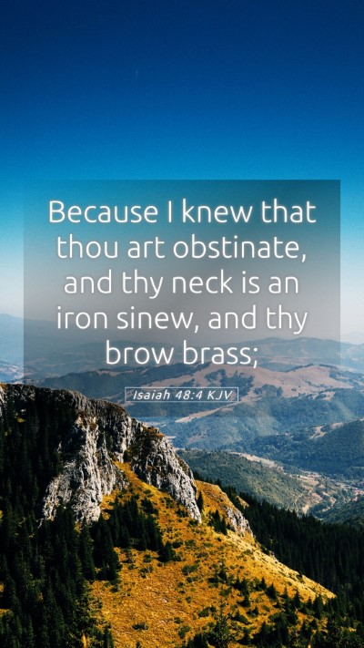 Picture 05 - Isaiah 48:4 KJV Mobile Phone Wallpaper - Because I knew that thou art obstinate, and thy - Mobile Bible Verse Wallpaper