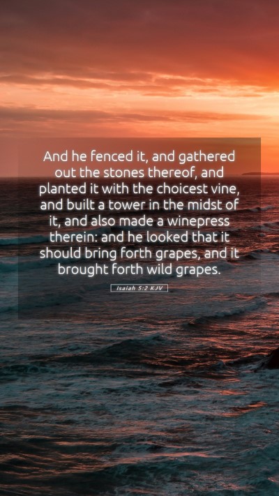 Picture 05 - Isaiah 5:2 KJV Mobile Phone Wallpaper - And he fenced it, and gathered out the stones - Mobile Bible Verse Wallpaper