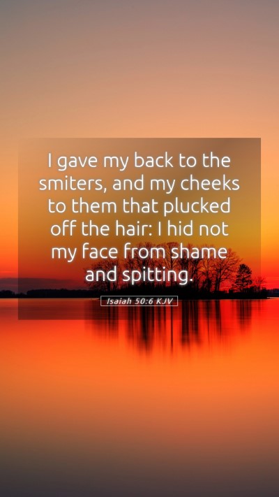 Picture 05 - Isaiah 50:6 KJV Mobile Phone Wallpaper - I gave my back to the smiters, and my cheeks to - Mobile Bible Verse Wallpaper