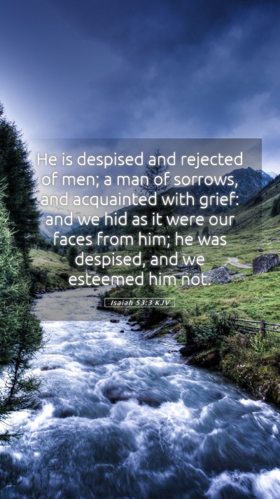 Picture 05 - Isaiah 53:3 KJV Mobile Phone Wallpaper - He is despised and rejected of men; a man of - Mobile Bible Verse Wallpaper