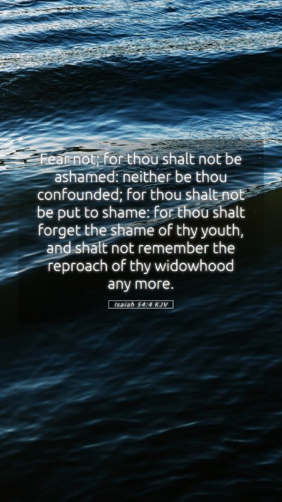 Picture 05 - Isaiah 54:4 KJV Mobile Phone Wallpaper - Fear not; for thou shalt not be ashamed: neither - Mobile Bible Verse Wallpaper