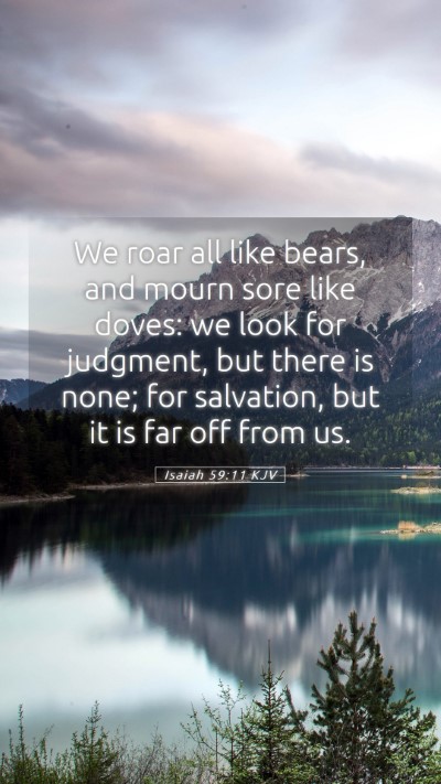 Picture 05 - Isaiah 59:11 KJV Mobile Phone Wallpaper - We roar all like bears, and mourn sore like - Mobile Bible Verse Wallpaper