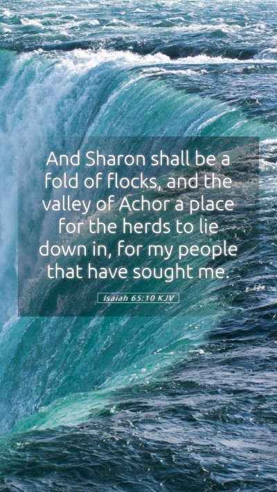 Picture 05 - Isaiah 65:10 KJV Mobile Phone Wallpaper - And Sharon shall be a fold of flocks, and the - Mobile Bible Verse Wallpaper