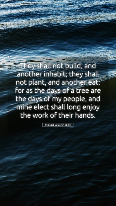 Picture 05 - Isaiah 65:22 KJV Mobile Phone Wallpaper - They shall not build, and another inhabit; they - Mobile Bible Verse Wallpaper