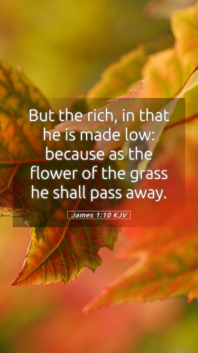 Picture 05 - James 1:10 KJV Mobile Phone Wallpaper - But the rich, in that he is made low: because as - Mobile Bible Verse Wallpaper