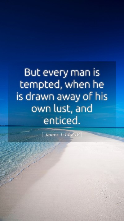Picture 05 - James 1:14 KJV Mobile Phone Wallpaper - But every man is tempted, when he is drawn away - Mobile Bible Verse Wallpaper