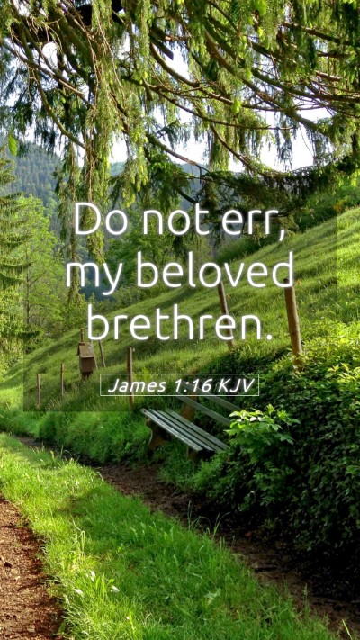 Picture 05 - James 1:16 KJV Mobile Phone Wallpaper - Do not err, my beloved - Mobile Bible Verse Wallpaper