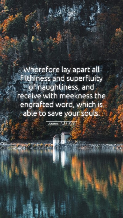 Picture 05 - James 1:21 KJV Mobile Phone Wallpaper - Wherefore lay apart all filthiness and - Mobile Bible Verse Wallpaper
