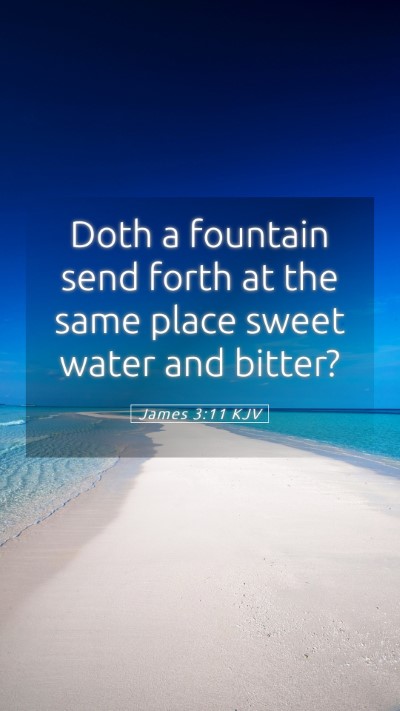 Picture 05 - James 3:11 KJV Mobile Phone Wallpaper - Doth a fountain send forth at the same place - Mobile Bible Verse Wallpaper