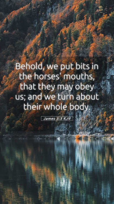 Picture 05 - James 3:3 KJV Mobile Phone Wallpaper - Behold, we put bits in the horses' mouths, that - Mobile Bible Verse Wallpaper