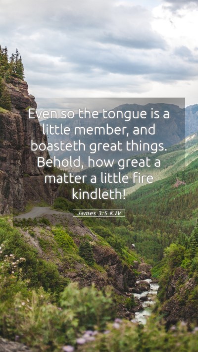 Picture 05 - James 3:5 KJV Mobile Phone Wallpaper - Even so the tongue is a little member, and - Mobile Bible Verse Wallpaper