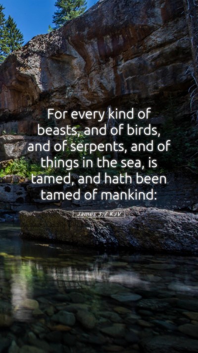 Picture 05 - James 3:7 KJV Mobile Phone Wallpaper - For every kind of beasts, and of birds, and of - Mobile Bible Verse Wallpaper