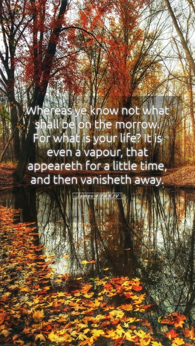 Picture 05 - James 4:14 KJV Mobile Phone Wallpaper - Whereas ye know not what shall be on the morrow. - Mobile Bible Verse Wallpaper