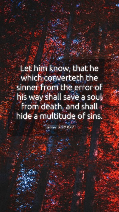Picture 05 - James 5:20 KJV Mobile Phone Wallpaper - Let him know, that he which converteth the sinner - Mobile Bible Verse Wallpaper