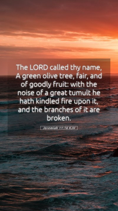 Picture 05 - Jeremiah 11:16 KJV Mobile Phone Wallpaper - The LORD called thy name, A green olive tree, - Mobile Bible Verse Wallpaper