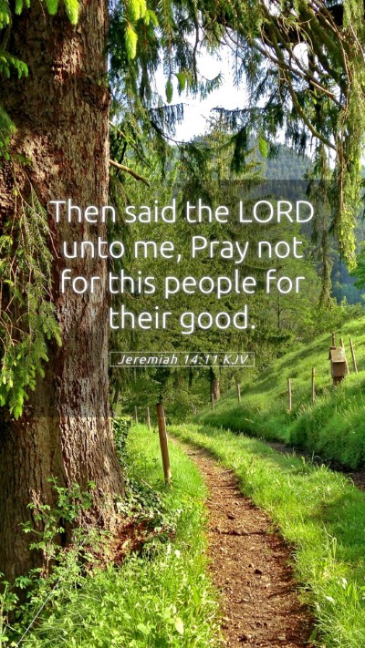 Picture 05 - Jeremiah 14:11 KJV Mobile Phone Wallpaper - Then said the LORD unto me, Pray not for this - Mobile Bible Verse Wallpaper