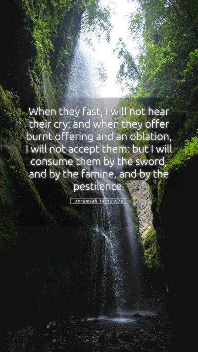 Picture 05 - Jeremiah 14:12 KJV Mobile Phone Wallpaper - When they fast, I will not hear their cry; and - Mobile Bible Verse Wallpaper