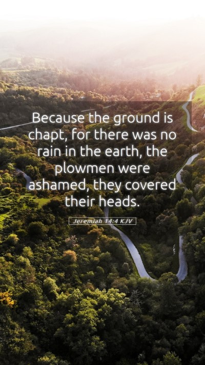 Picture 05 - Jeremiah 14:4 KJV Mobile Phone Wallpaper - Because the ground is chapt, for there was no - Mobile Bible Verse Wallpaper
