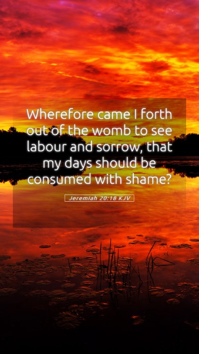 Picture 05 - Jeremiah 20:18 KJV Mobile Phone Wallpaper - Wherefore came I forth out of the womb to see - Mobile Bible Verse Wallpaper