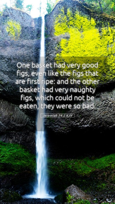 Picture 05 - Jeremiah 24:2 KJV Mobile Phone Wallpaper - One basket had very good figs, even like the figs - Mobile Bible Verse Wallpaper
