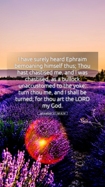 Picture 05 - Jeremiah 31:18 KJV Mobile Phone Wallpaper - I have surely heard Ephraim bemoaning himself - Mobile Bible Verse Wallpaper