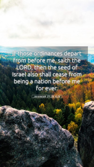 Picture 05 - Jeremiah 31:36 KJV Mobile Phone Wallpaper - If those ordinances depart from before me, saith - Mobile Bible Verse Wallpaper