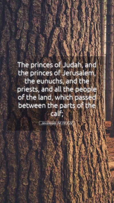 Picture 05 - Jeremiah 34:19 KJV Mobile Phone Wallpaper - The princes of Judah, and the princes of - Mobile Bible Verse Wallpaper