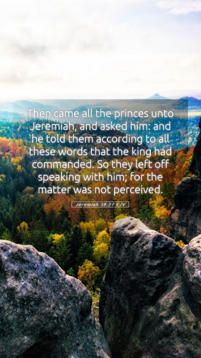 Picture 05 - Jeremiah 38:27 KJV Mobile Phone Wallpaper - Then came all the princes unto Jeremiah, and - Mobile Bible Verse Wallpaper