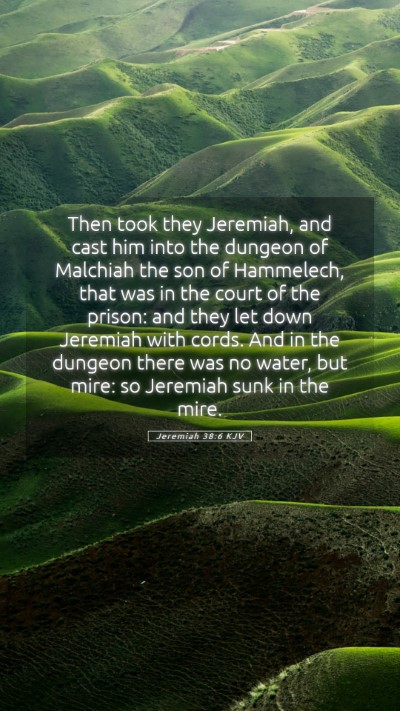 Picture 05 - Jeremiah 38:6 KJV Mobile Phone Wallpaper - Then took they Jeremiah, and cast him into the - Mobile Bible Verse Wallpaper