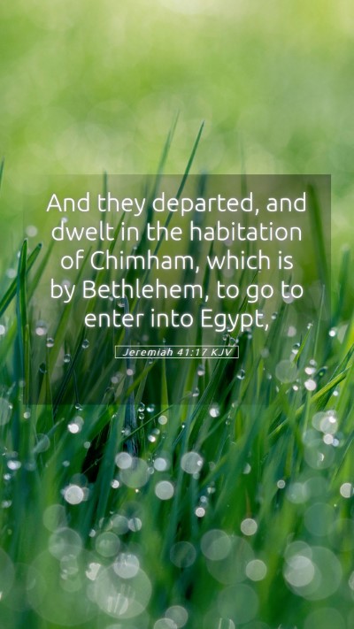 Picture 05 - Jeremiah 41:17 KJV Mobile Phone Wallpaper - And they departed, and dwelt in the habitation of - Mobile Bible Verse Wallpaper