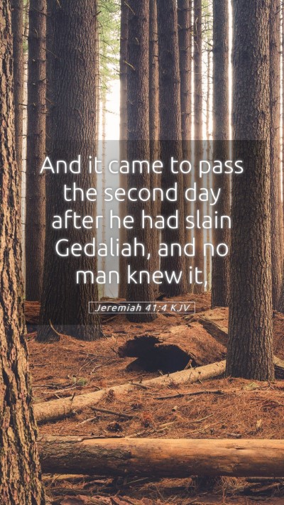 Picture 05 - Jeremiah 41:4 KJV Mobile Phone Wallpaper - And it came to pass the second day after he had - Mobile Bible Verse Wallpaper