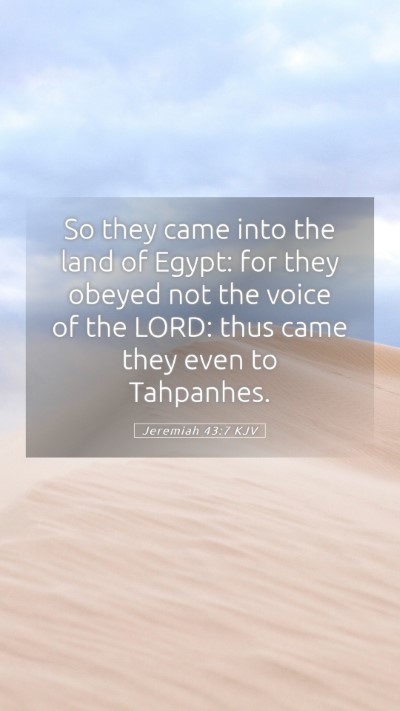 Picture 05 - Jeremiah 43:7 KJV Mobile Phone Wallpaper - So they came into the land of Egypt: for they - Mobile Bible Verse Wallpaper