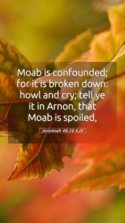 Picture 05 - Jeremiah 48:20 KJV Mobile Phone Wallpaper - Moab is confounded; for it is broken down: howl - Mobile Bible Verse Wallpaper