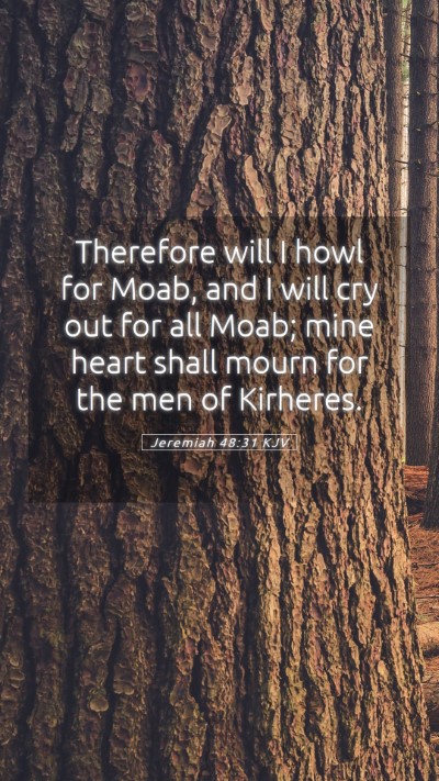 Picture 05 - Jeremiah 48:31 KJV Mobile Phone Wallpaper - Therefore will I howl for Moab, and I will cry - Mobile Bible Verse Wallpaper