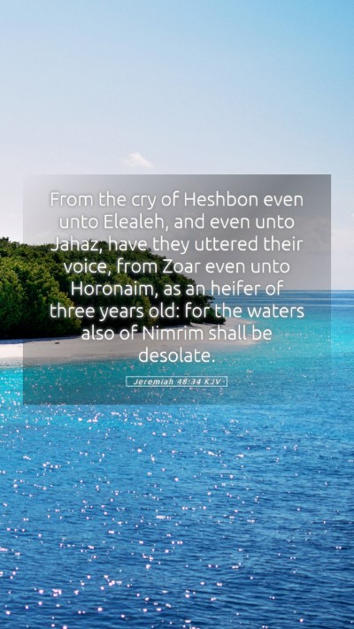 Picture 05 - Jeremiah 48:34 KJV Mobile Phone Wallpaper - From the cry of Heshbon even unto Elealeh, and - Mobile Bible Verse Wallpaper