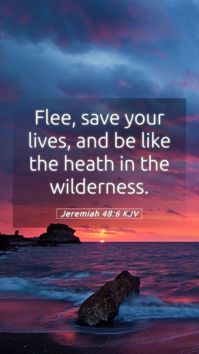 Picture 05 - Jeremiah 48:6 KJV Mobile Phone Wallpaper - Flee, save your lives, and be like the heath in - Mobile Bible Verse Wallpaper