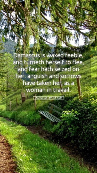 Picture 05 - Jeremiah 49:24 KJV Mobile Phone Wallpaper - Damascus is waxed feeble, and turneth herself to - Mobile Bible Verse Wallpaper