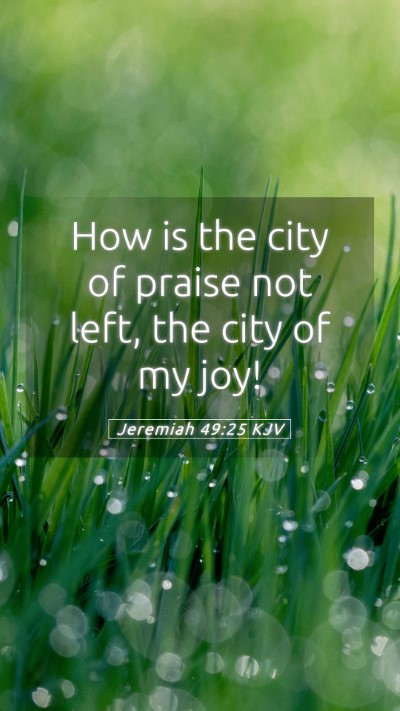 Picture 05 - Jeremiah 49:25 KJV Mobile Phone Wallpaper - How is the city of praise not left, the city of - Mobile Bible Verse Wallpaper