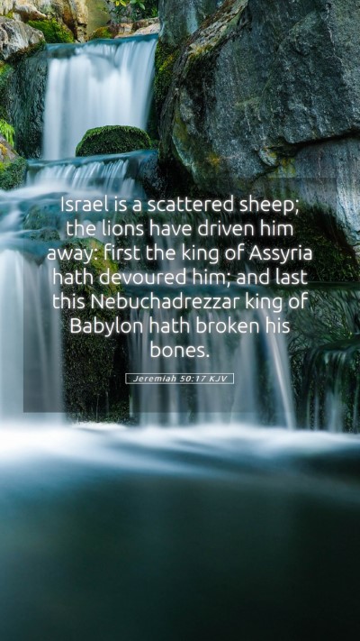 Picture 05 - Jeremiah 50:17 KJV Mobile Phone Wallpaper - Israel is a scattered sheep; the lions have - Mobile Bible Verse Wallpaper