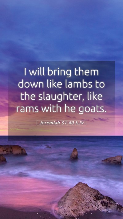 Picture 05 - Jeremiah 51:40 KJV Mobile Phone Wallpaper - I will bring them down like lambs to the - Mobile Bible Verse Wallpaper