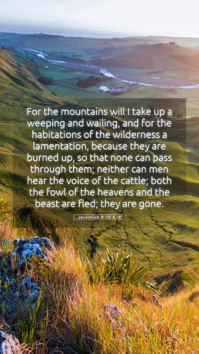 Picture 05 - Jeremiah 9:10 KJV Mobile Phone Wallpaper - For the mountains will I take up a weeping and - Mobile Bible Verse Wallpaper