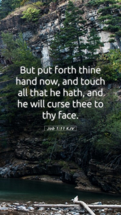 Picture 05 - Job 1:11 KJV Mobile Phone Wallpaper - But put forth thine hand now, and touch all that - Mobile Bible Verse Wallpaper
