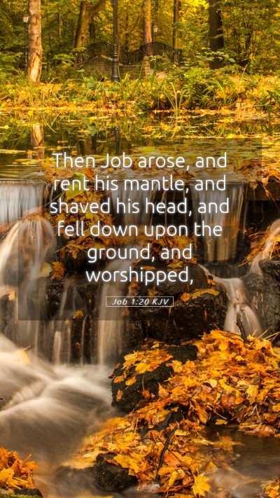 Picture 05 - Job 1:20 KJV Mobile Phone Wallpaper - Then Job arose, and rent his mantle, and shaved - Mobile Bible Verse Wallpaper