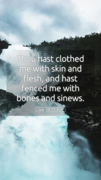Picture 05 - Job 10:11 KJV Mobile Phone Wallpaper - Thou hast clothed me with skin and flesh, and - Mobile Bible Verse Wallpaper