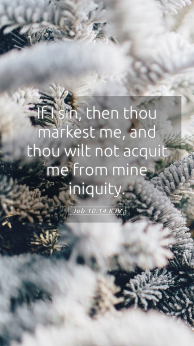 Picture 05 - Job 10:14 KJV Mobile Phone Wallpaper - If I sin, then thou markest me, and thou wilt not - Mobile Bible Verse Wallpaper