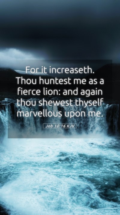 Picture 05 - Job 10:16 KJV Mobile Phone Wallpaper - For it increaseth. Thou huntest me as a fierce - Mobile Bible Verse Wallpaper