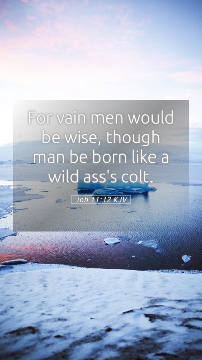 Picture 05 - Job 11:12 KJV Mobile Phone Wallpaper - For vain men would be wise, though man be born - Mobile Bible Verse Wallpaper