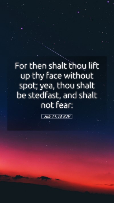 Picture 05 - Job 11:15 KJV Mobile Phone Wallpaper - For then shalt thou lift up thy face without - Mobile Bible Verse Wallpaper