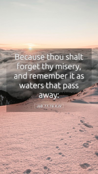 Picture 05 - Job 11:16 KJV Mobile Phone Wallpaper - Because thou shalt forget thy misery, and - Mobile Bible Verse Wallpaper