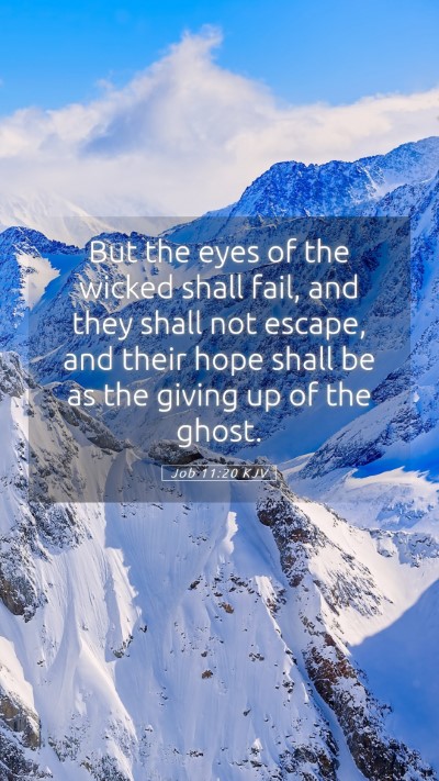 Picture 05 - Job 11:20 KJV Mobile Phone Wallpaper - But the eyes of the wicked shall fail, and they - Mobile Bible Verse Wallpaper